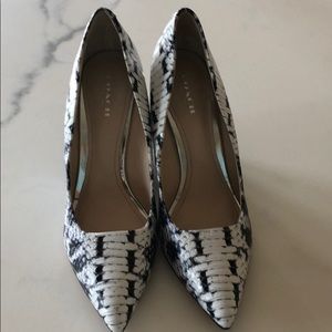 Brand New Orchard Graphic Print Snake. White.